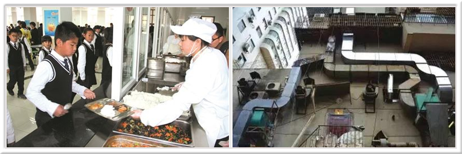金索坤公司动态-沈阳开展网络食品转向运动